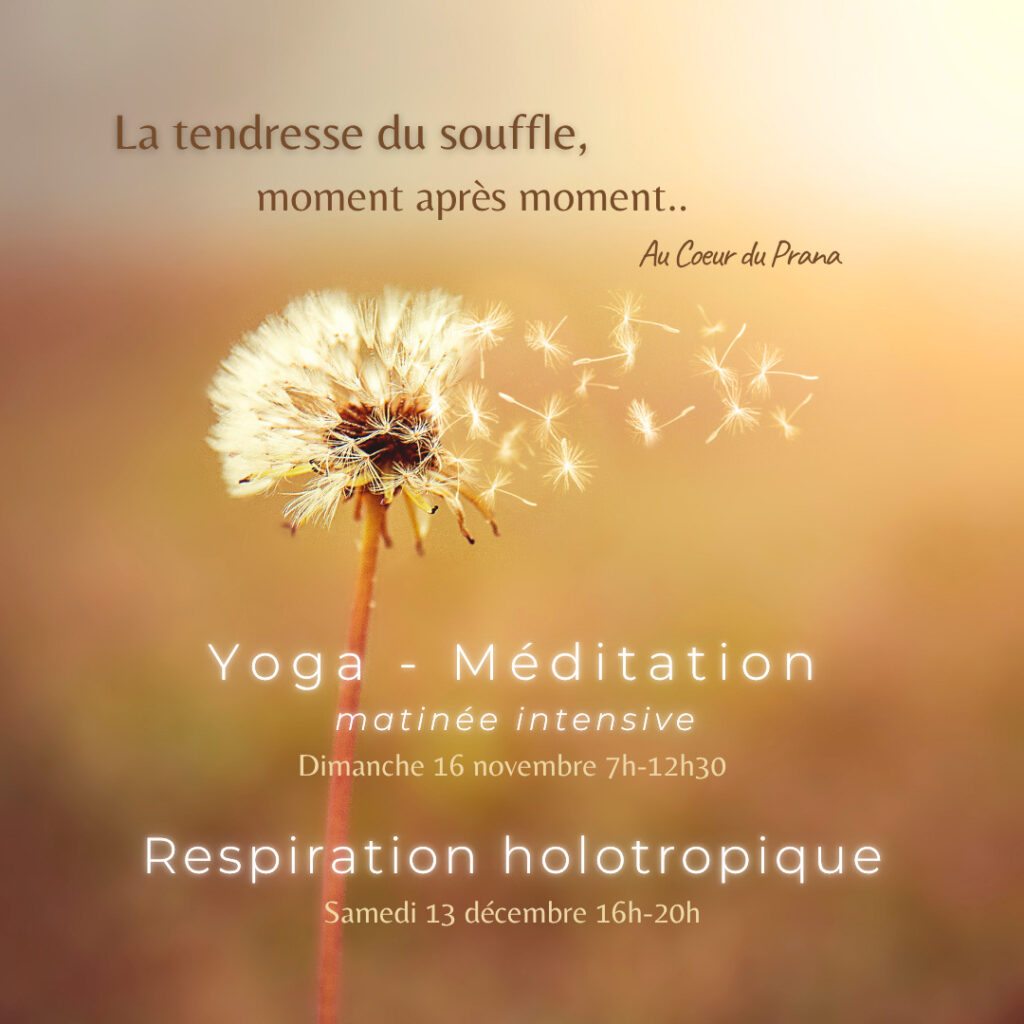 Au Coeur du Prana Yoga Nantes yoga - nantes - au coeur du prana - meditation - julie petry.