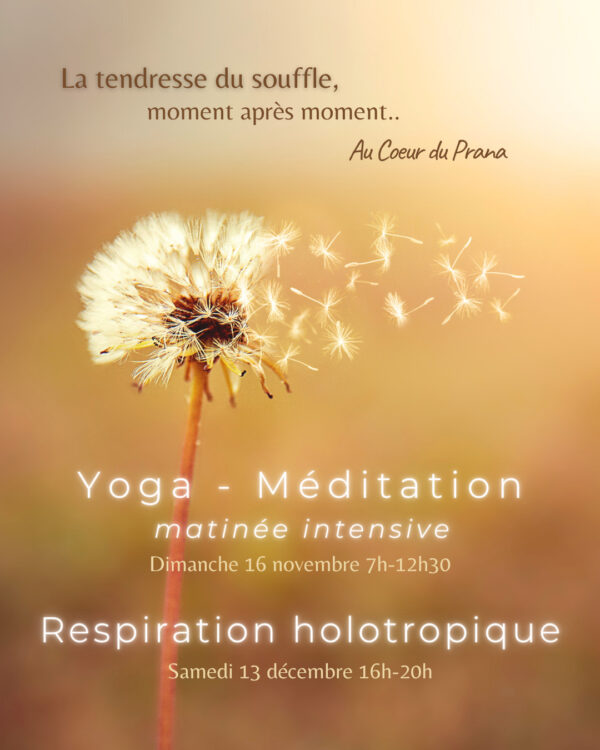 yoga nantes meditation au coeur du prana julie petry yoga - nantes - meditation - au coeur du prana - julie petry